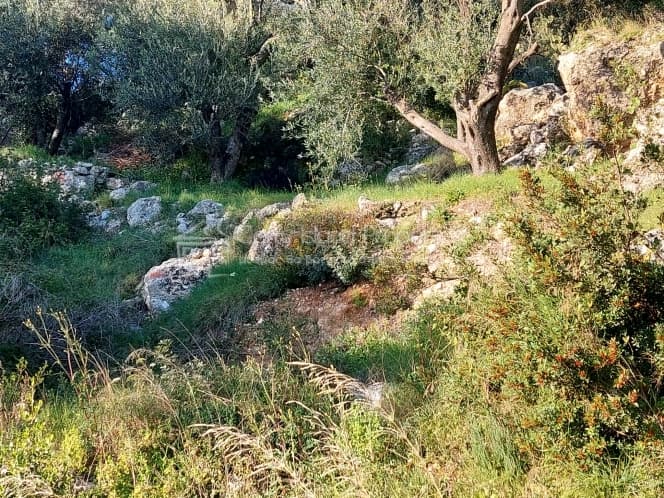 Οικόπεδο στην Μελιτειέοι, Κέρκυρα — Φωτογραφία 18 από 24