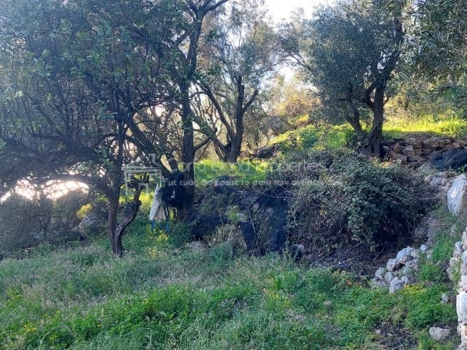 Οικόπεδο στην Μελιτειέοι, Κέρκυρα — Φωτογραφία 21 από 24