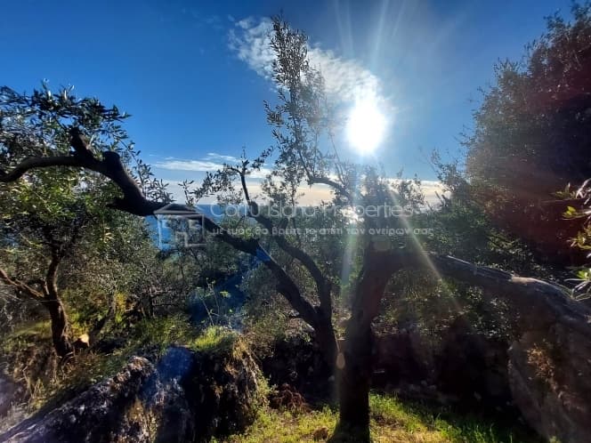 Οικόπεδο στην Μελιτειέοι, Κέρκυρα — Φωτογραφία 6 από 24