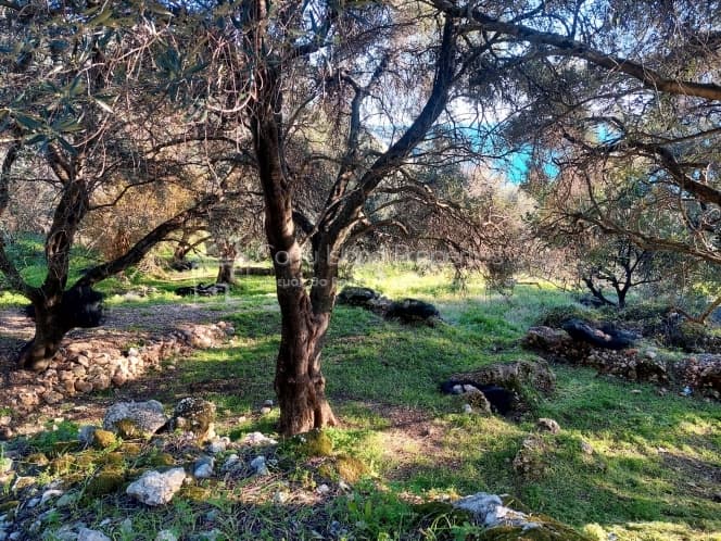 Οικόπεδο στην Μελιτειέοι, Κέρκυρα — Φωτογραφία 7 από 24