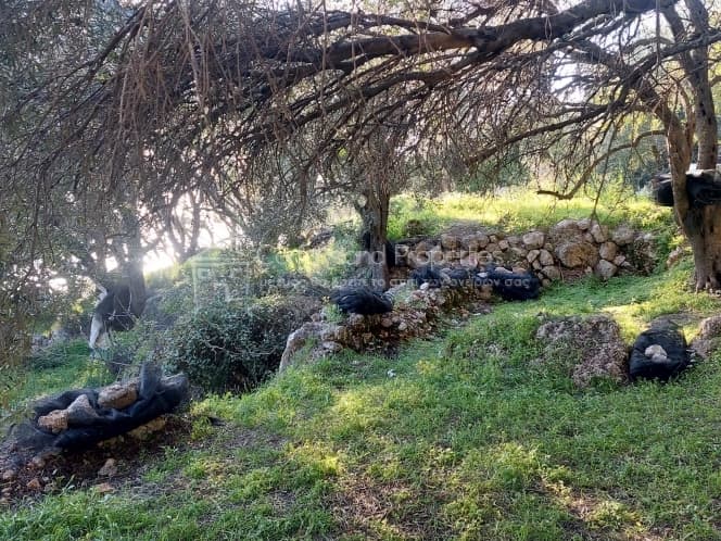Οικόπεδο στην Μελιτειέοι, Κέρκυρα — Φωτογραφία 23 από 24