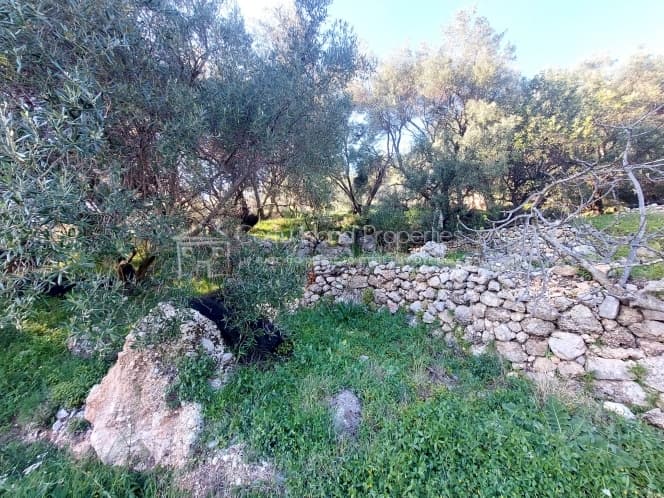 Οικόπεδο στην Μελιτειέοι, Κέρκυρα — Φωτογραφία 16 από 24