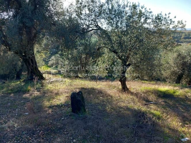 Οικόπεδο στην Κασσιόπη, Κέρκυρα — Φωτογραφία 11 από 19
