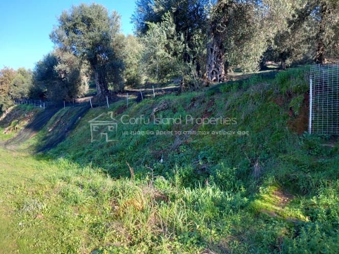 Οικόπεδο στην Κασσιόπη, Κέρκυρα — Φωτογραφία 12 από 19