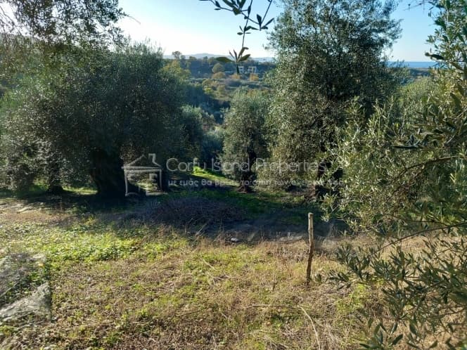 Οικόπεδο στην Κασσιόπη, Κέρκυρα — Φωτογραφία 13 από 19