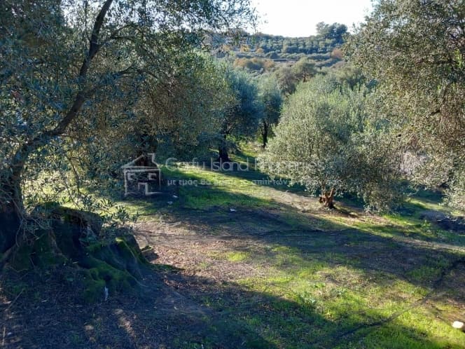 Οικόπεδο στην Κασσιόπη, Κέρκυρα — Φωτογραφία 15 από 19