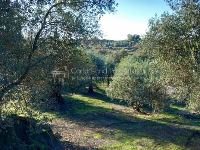 Οικόπεδο στην Κασσιόπη, Κέρκυρα — Φωτογραφία 16 από 19