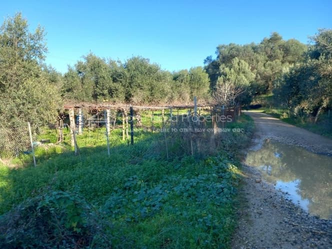 Οικόπεδο στην Κασσιόπη, Κέρκυρα — Φωτογραφία 11 από 11