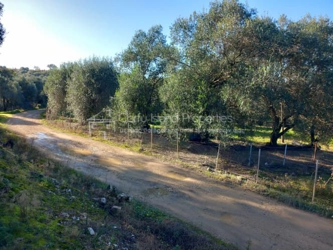 Οικόπεδο στην Κασσιόπη, Κέρκυρα — Φωτογραφία 9 από 11