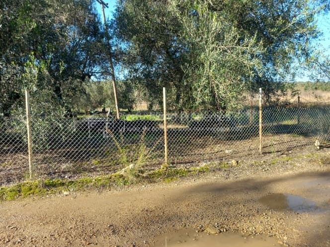 Οικόπεδο στην Κασσιόπη, Κέρκυρα — Φωτογραφία 8 από 11
