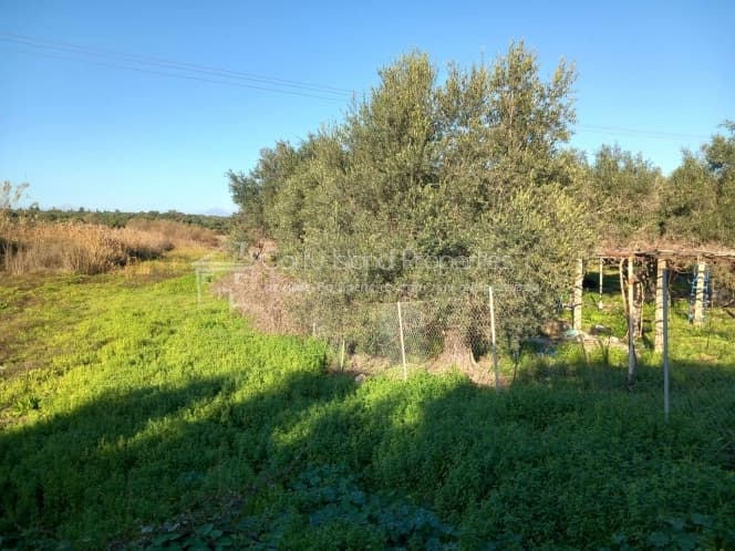 Οικόπεδο στην Κασσιόπη, Κέρκυρα — Φωτογραφία 3 από 11