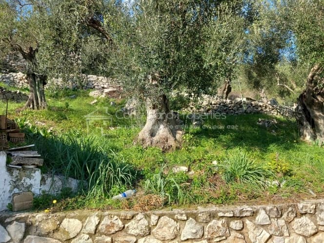 Οικόπεδο στην Φαίακες, Κέρκυρα — Φωτογραφία 5 από 22