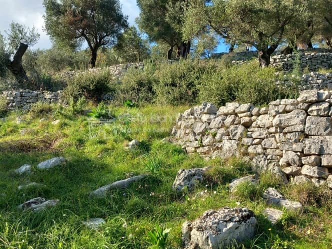 Οικόπεδο στην Φαίακες, Κέρκυρα — Φωτογραφία 9 από 22