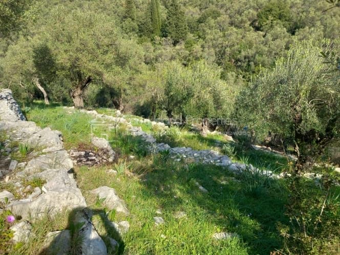 Οικόπεδο στην Φαίακες, Κέρκυρα — Φωτογραφία 16 από 22