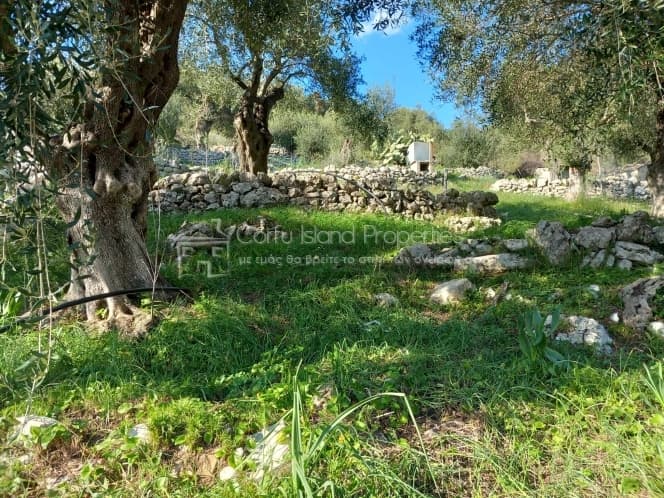 Οικόπεδο στην Φαίακες, Κέρκυρα — Φωτογραφία 7 από 22