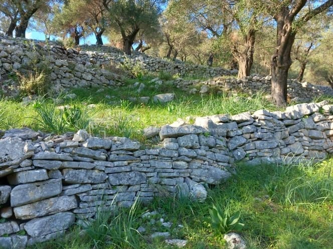 Οικόπεδο στην Φαίακες, Κέρκυρα — Φωτογραφία 20 από 22