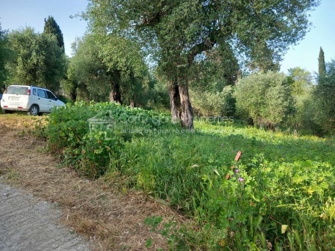 Οικόπεδο στην Παρέλι, Κέρκυρα — Φωτογραφία 12 από 13