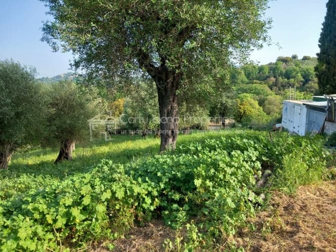 Οικόπεδο στην Παρέλι, Κέρκυρα — Φωτογραφία 5 από 13