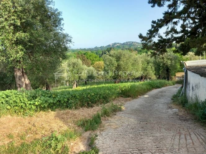 Οικόπεδο στην Παρέλι, Κέρκυρα — Φωτογραφία 6 από 13