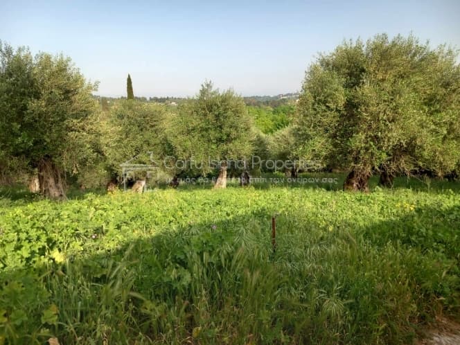 Οικόπεδο στην Παρέλι, Κέρκυρα — Φωτογραφία 1 από 13