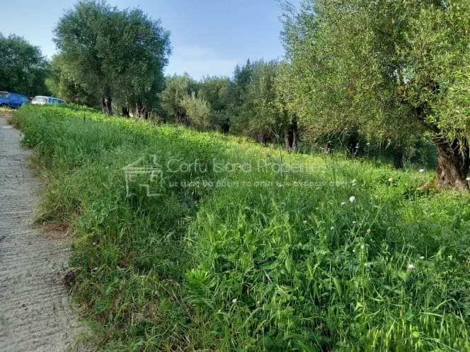 Οικόπεδο στην Παρέλι, Κέρκυρα — Φωτογραφία 11 από 13