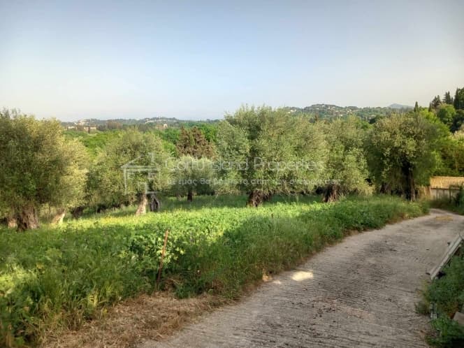 Οικόπεδο στην Παρέλι, Κέρκυρα — Φωτογραφία 13 από 13