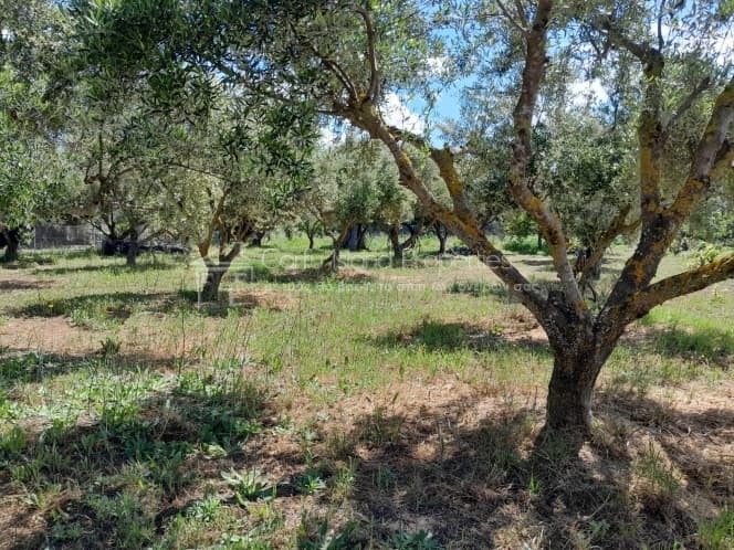 Οικόπεδο στην Μελιτειέοι, Κέρκυρα — Φωτογραφία 20 από 30