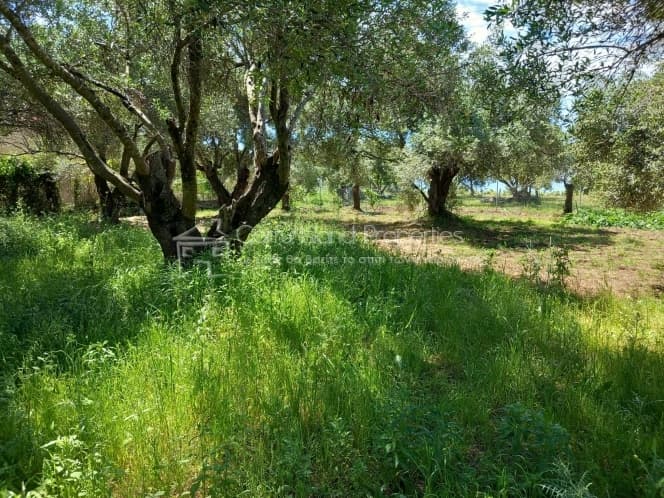 Οικόπεδο στην Μελιτειέοι, Κέρκυρα — Φωτογραφία 22 από 30
