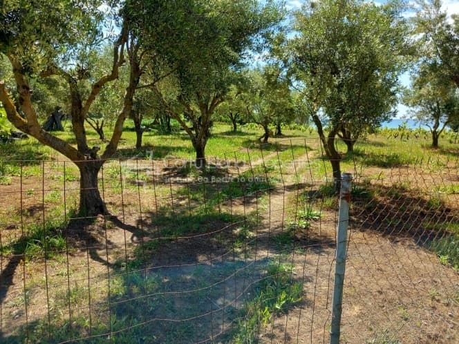 Οικόπεδο στην Μελιτειέοι, Κέρκυρα — Φωτογραφία 15 από 30