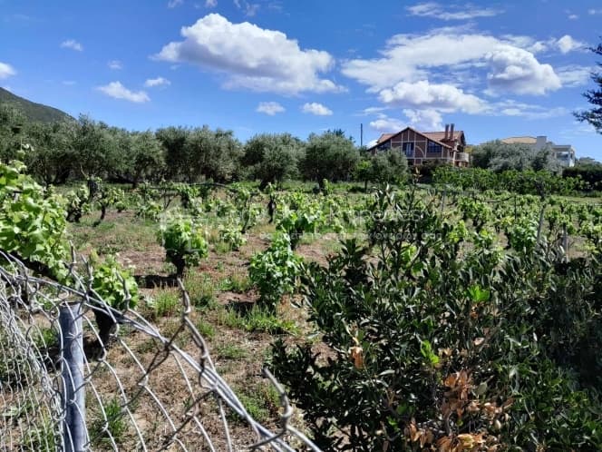 Οικόπεδο στην Μελιτειέοι, Κέρκυρα — Φωτογραφία 14 από 30