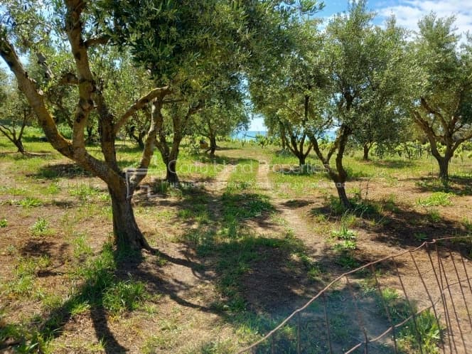 Οικόπεδο στην Μελιτειέοι, Κέρκυρα — Φωτογραφία 8 από 30