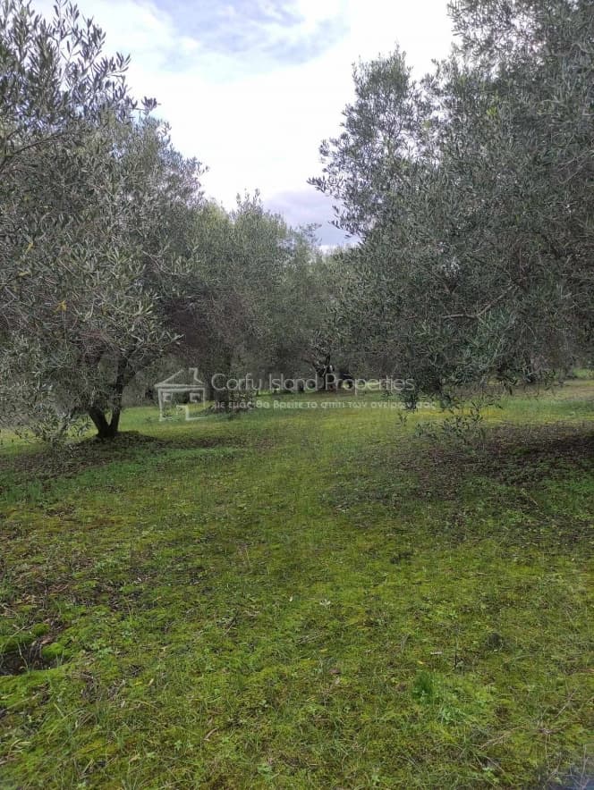 Οικόπεδο στην Άγιος Γεώργιος, Κέρκυρα — Φωτογραφία 1 από 8