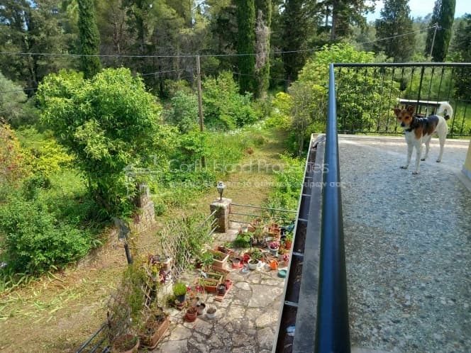 House in Faiakes, Corfu — Photo 20 of 30