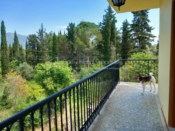 House in Faiakes, Corfu — Photo 28 of 30