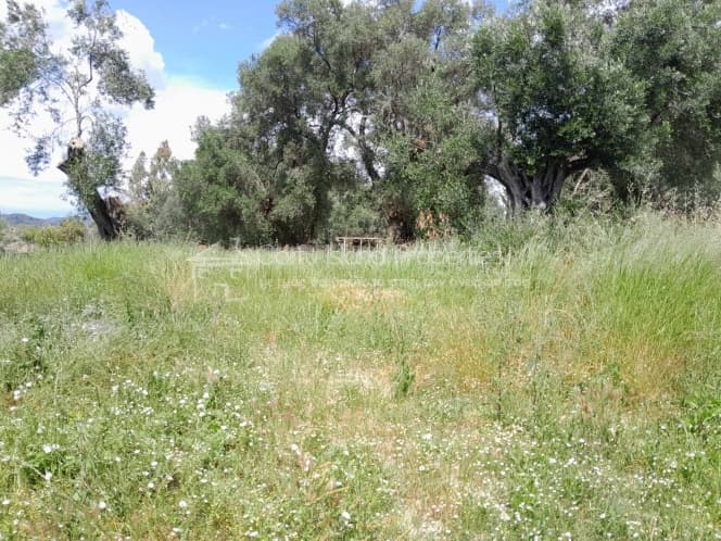 Οικόπεδο στην Άγιος Γεώργιος, Κέρκυρα — Φωτογραφία 11 από 26
