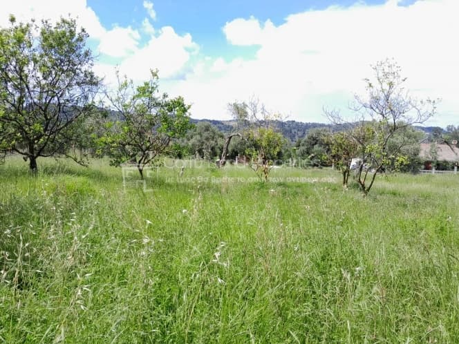 Οικόπεδο στην Άγιος Γεώργιος, Κέρκυρα — Φωτογραφία 8 από 26