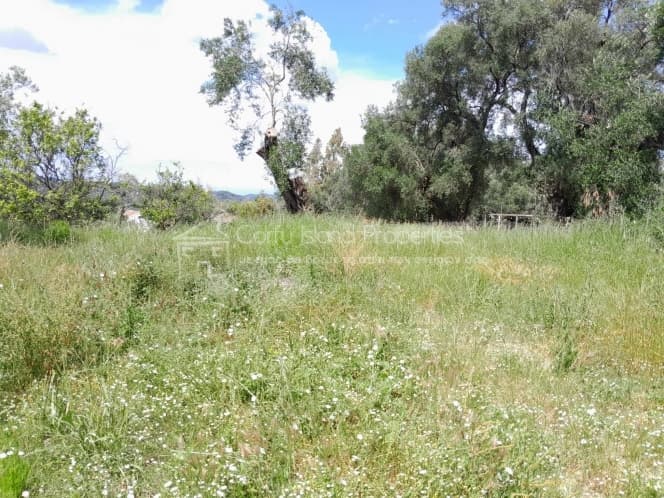 Οικόπεδο στην Άγιος Γεώργιος, Κέρκυρα — Φωτογραφία 20 από 26
