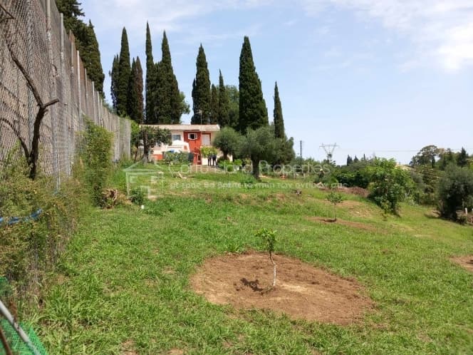 House in Othonoi, Corfu — Photo 29 of 30