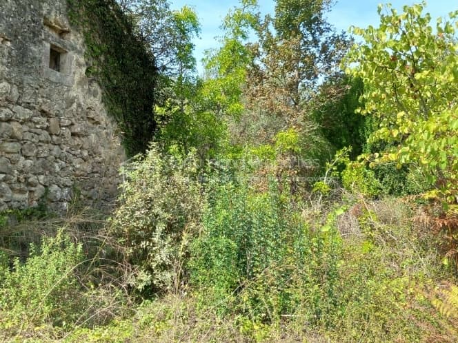 Αποθήκη στην Παρέλι, Κέρκυρα — Φωτογραφία 5 από 30