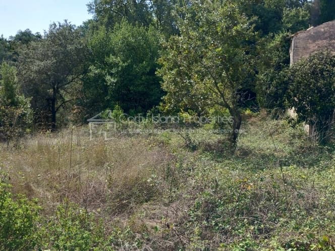 Αποθήκη στην Παρέλι, Κέρκυρα — Φωτογραφία 30 από 30