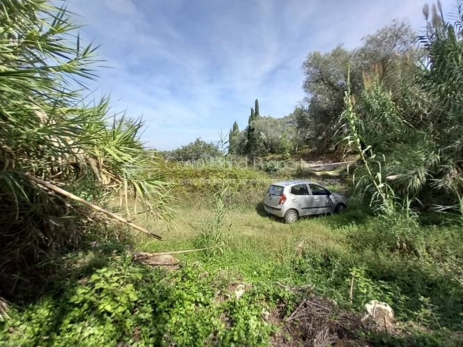Αποθήκη στην Παρέλι, Κέρκυρα — Φωτογραφία 22 από 30