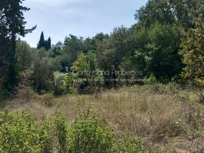 Αποθήκη στην Παρέλι, Κέρκυρα — Φωτογραφία 25 από 30