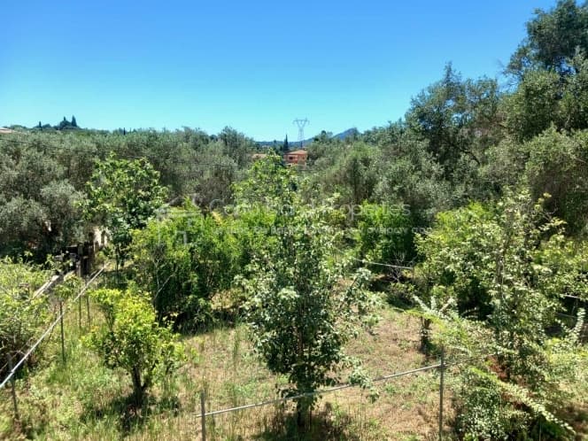 House in Achilleio, Corfu — Photo 15 of 30