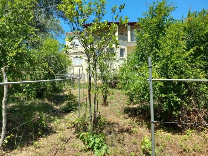 House in Achilleio, Corfu — Photo 14 of 30