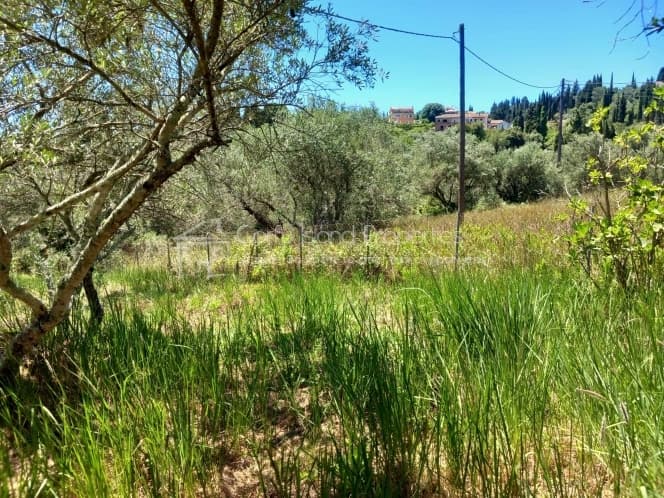 House in Achilleio, Corfu — Photo 16 of 30