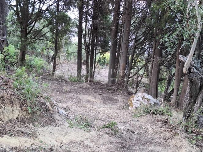Οικόπεδο στην Μελιτειέοι, Κέρκυρα — Φωτογραφία 27 από 30