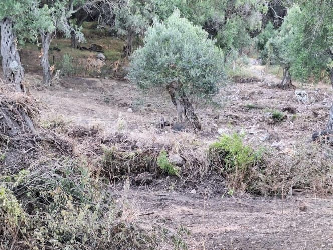 Οικόπεδο στην Μελιτειέοι, Κέρκυρα — Φωτογραφία 11 από 30