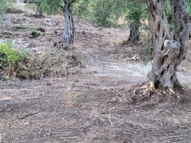 Οικόπεδο στην Μελιτειέοι, Κέρκυρα — Φωτογραφία 26 από 30