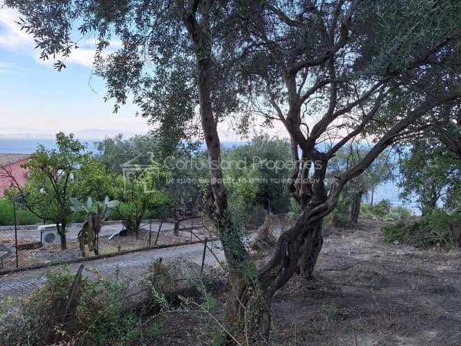 Οικόπεδο στην Μελιτειέοι, Κέρκυρα — Φωτογραφία 14 από 30