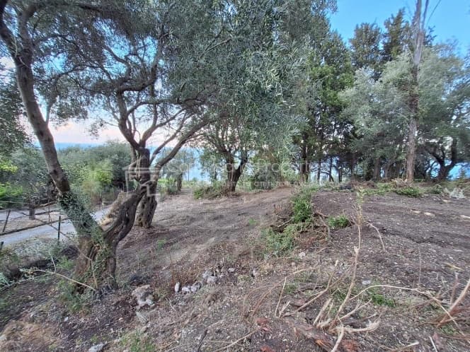 Οικόπεδο στην Μελιτειέοι, Κέρκυρα — Φωτογραφία 30 από 30